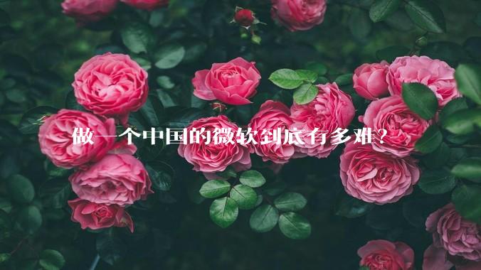 做一个中国的微软到底有多难？