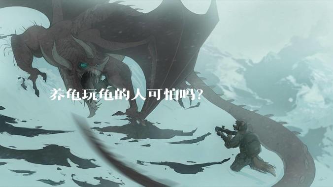 养龟玩龟的人可怕吗？