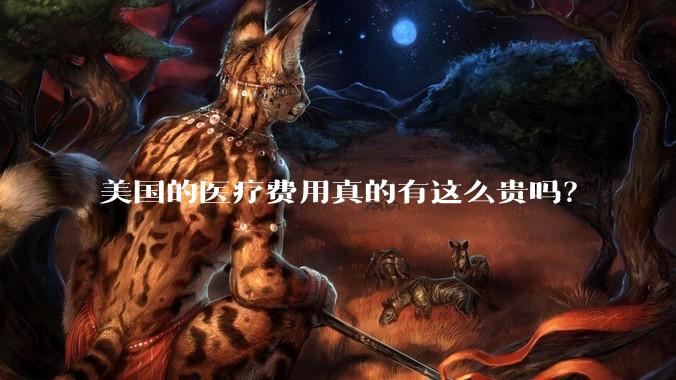 美国的医疗费用真的有这么贵吗？